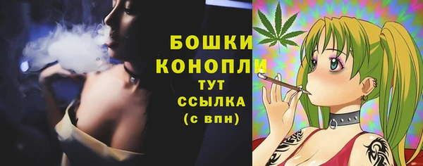 PSILOCYBIN Бронницы